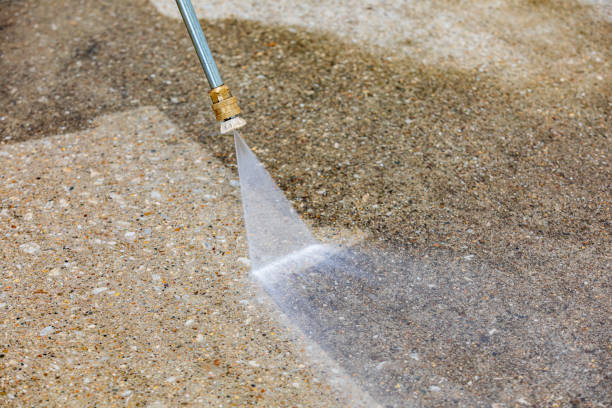 Best Driveway Pressure Washing  in Croswell, MI